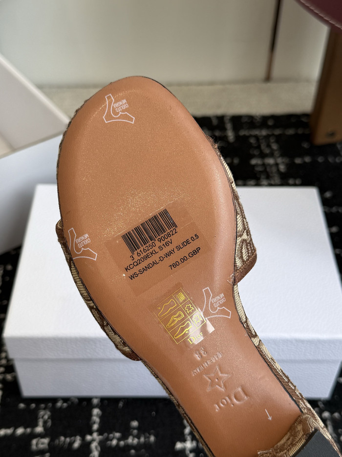 D10r SLIDES DS-0147