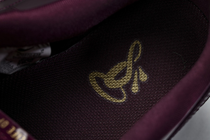 Central Cee x Nike Air Force 1 Low "Dark Beetroot" IO9970-638