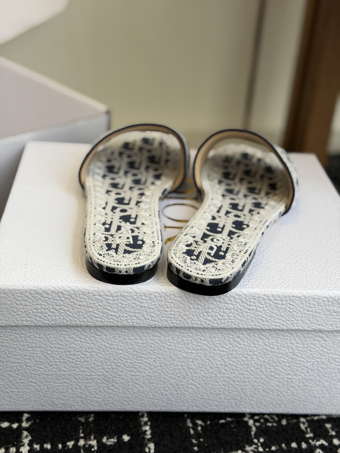 D10r SLIDES DS-0106