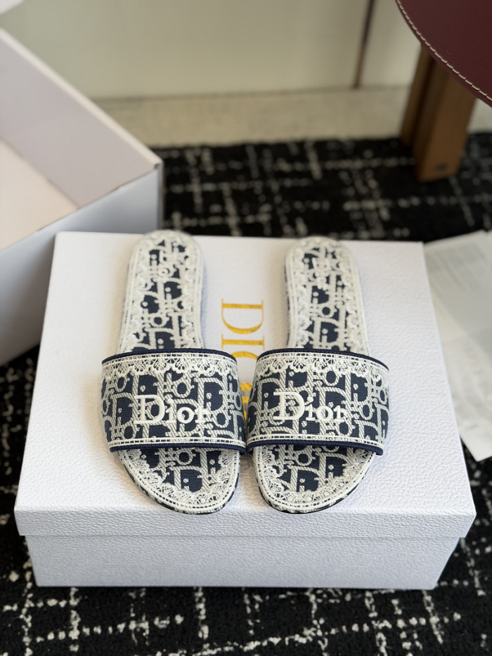 D10r SLIDES DS-0106