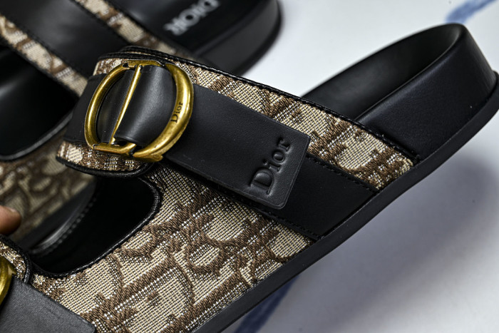 D10r SLIDES DS-097