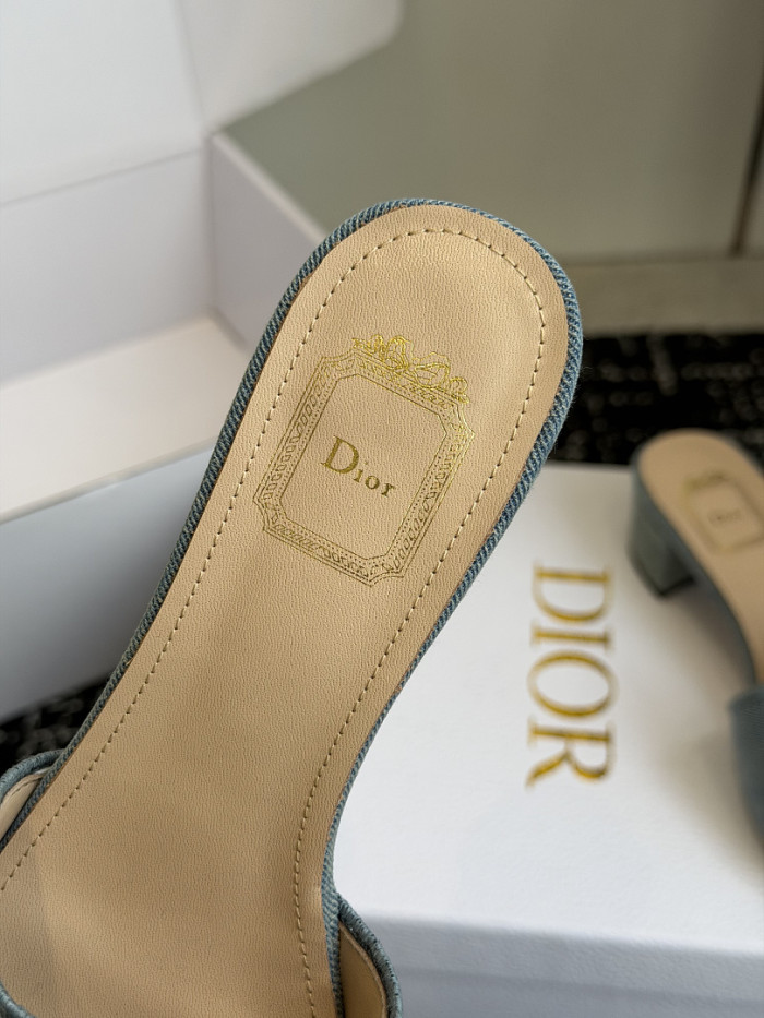 D10r SLIDES DS-0109