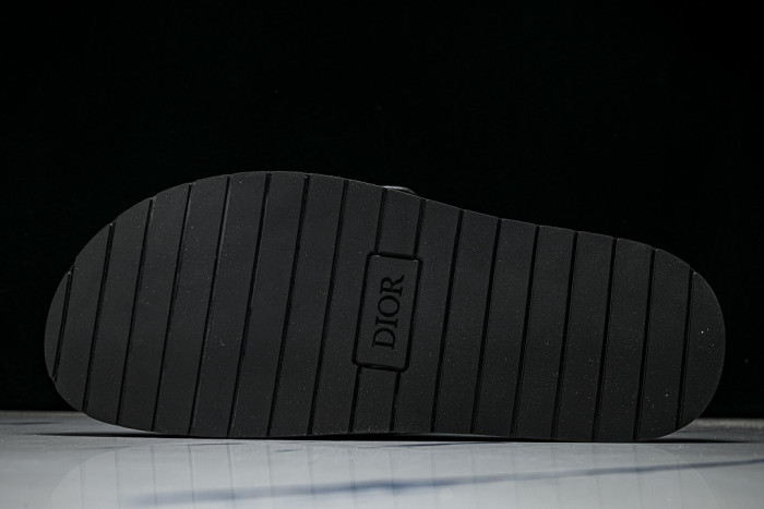 D10r SLIDES DS-092