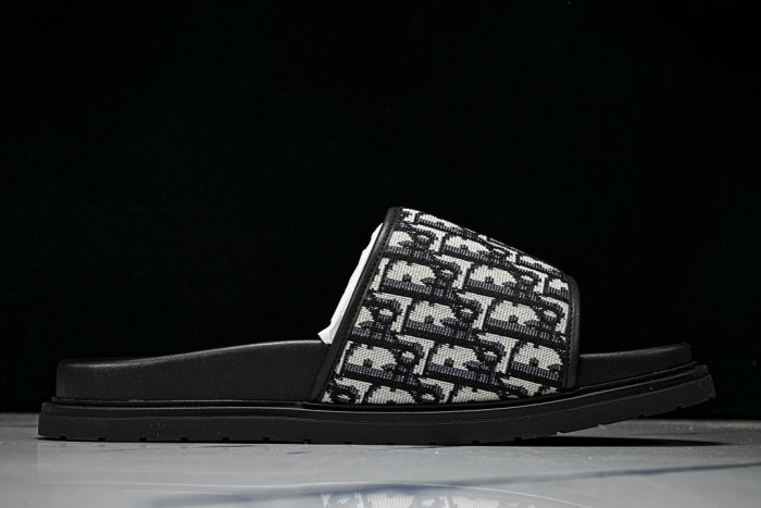 D10r SLIDES DS-092