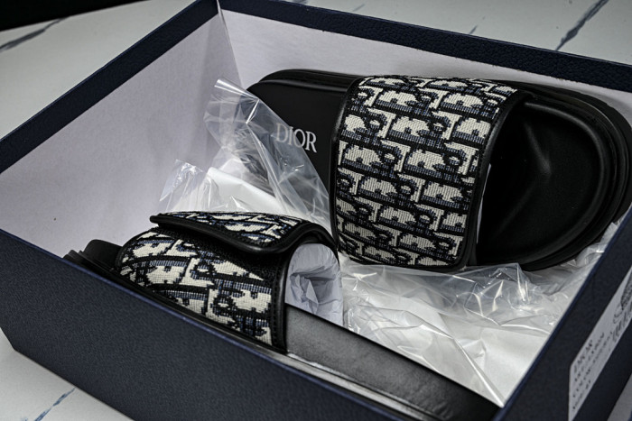 D10r SLIDES DS-092