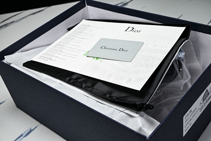 D10r SLIDES DS-092