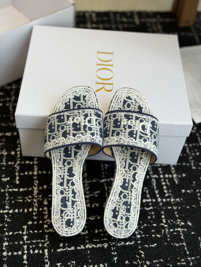 D10r SLIDES DS-0103