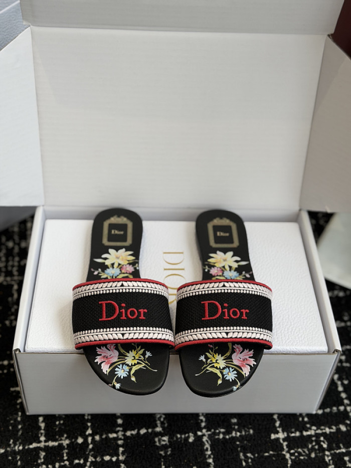 D10r SLIDES DS-0128