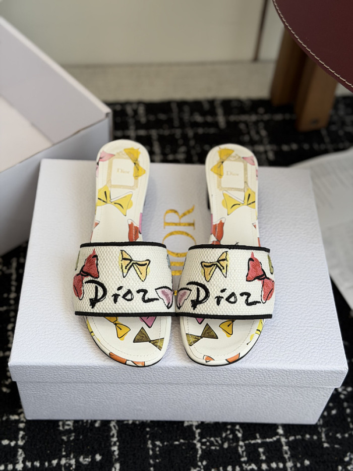 D10r SLIDES DS-0114