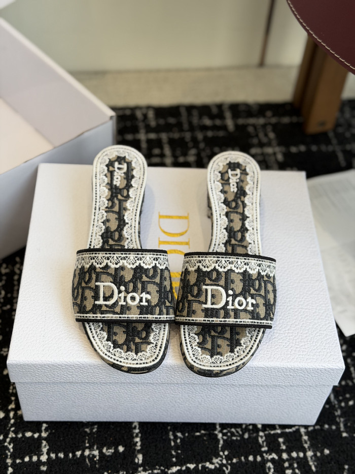 D10r SLIDES DS-0101