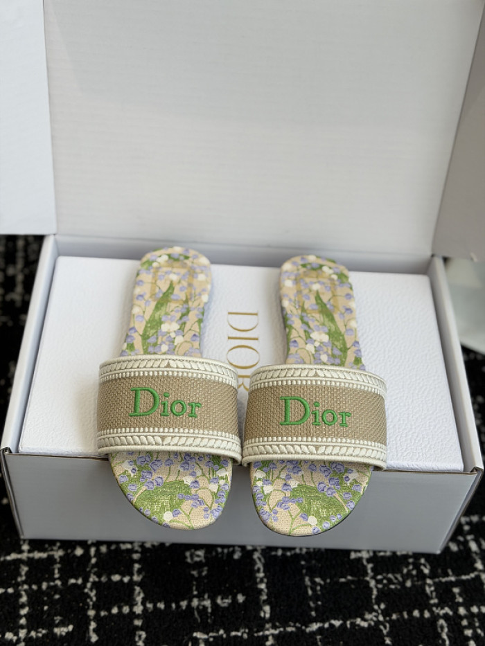D10r SLIDES DS-0125