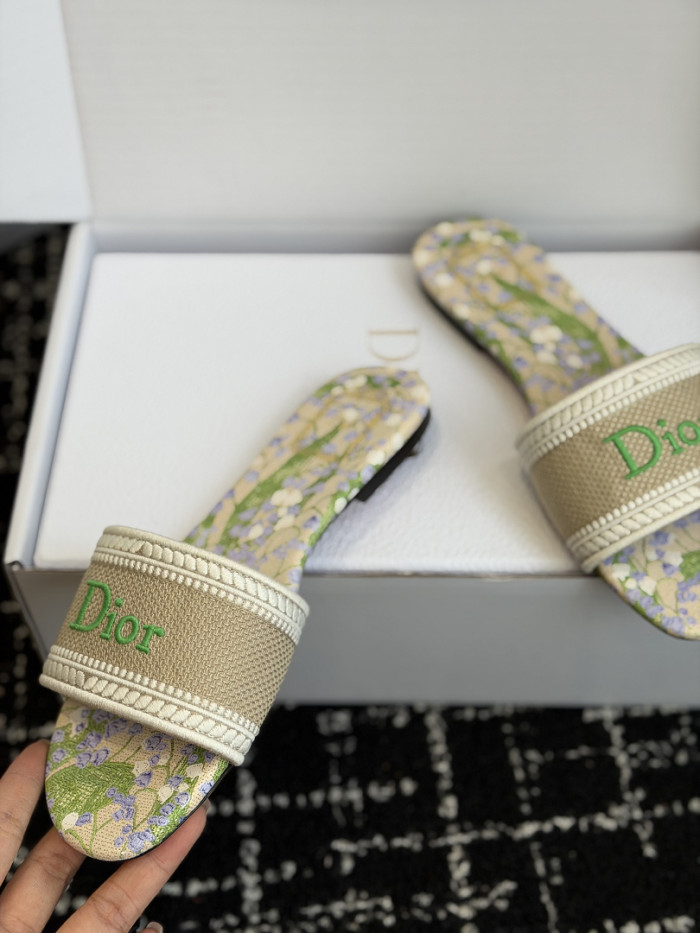 D10r SLIDES DS-0125