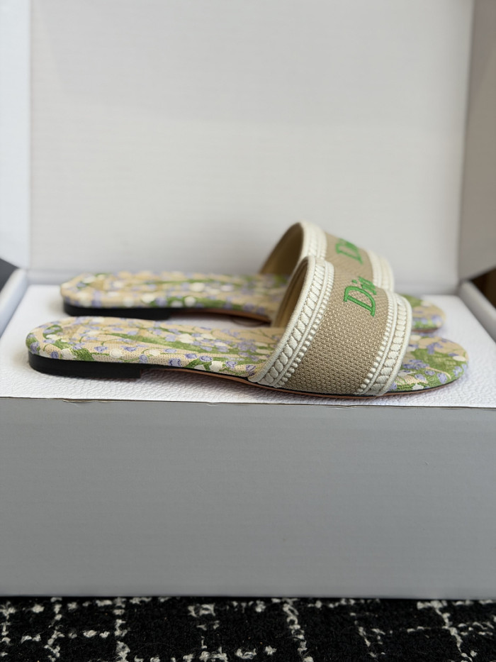 D10r SLIDES DS-0125