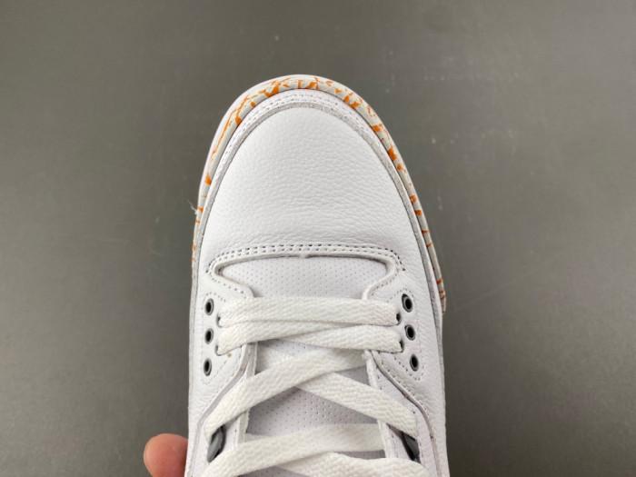 Air Jordan 3 Retro CK9246-101