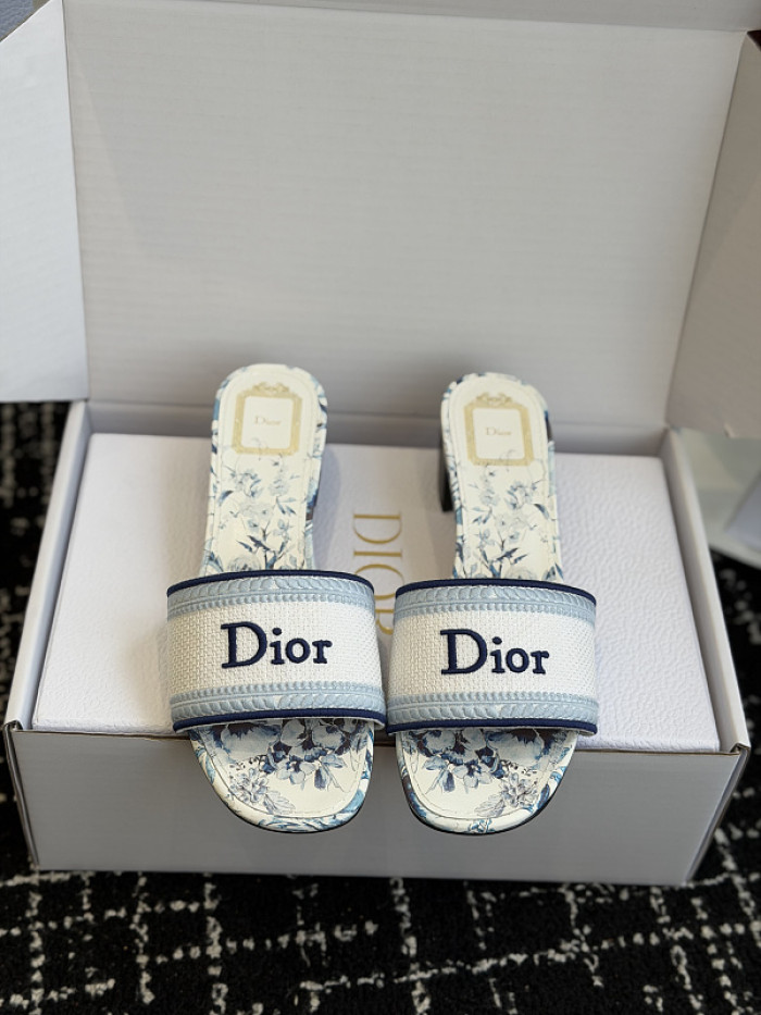 D10r SLIDES DS-0119