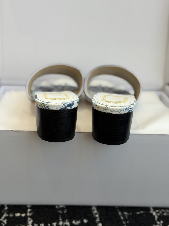 D10r SLIDES DS-0119