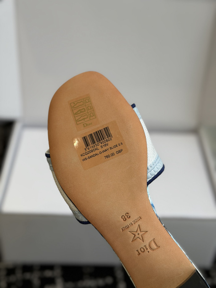 D10r SLIDES DS-0119