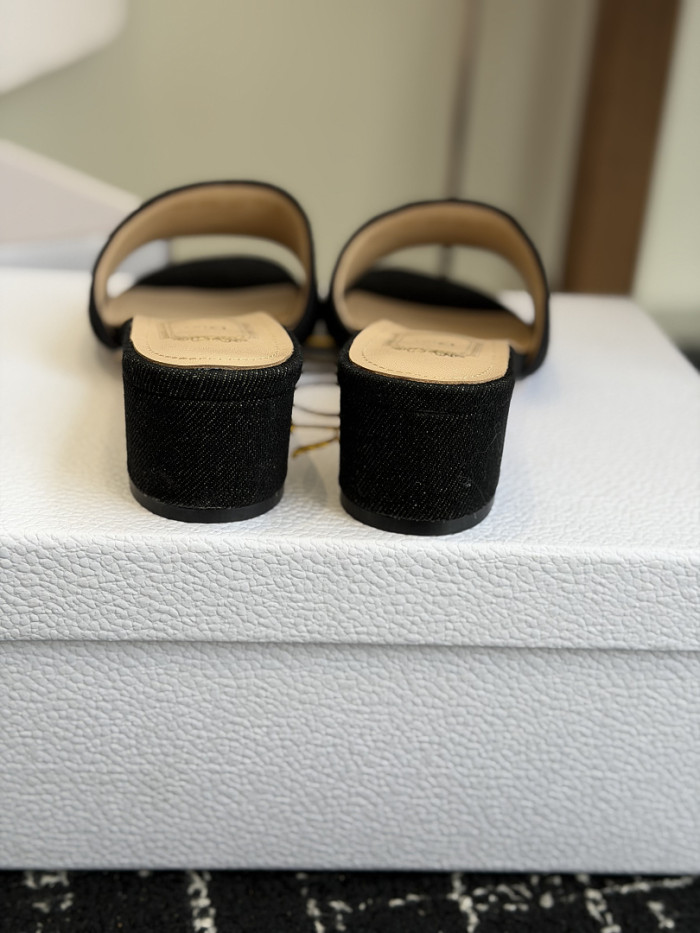 D10r SLIDES DS-0108