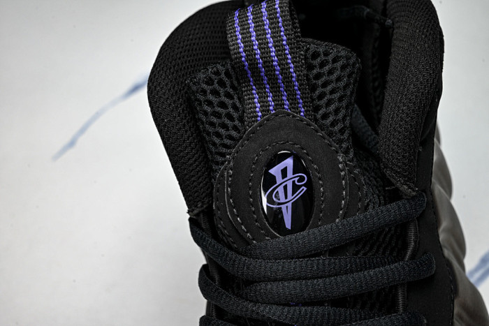 Nike Air Foamposite One FN5212-001