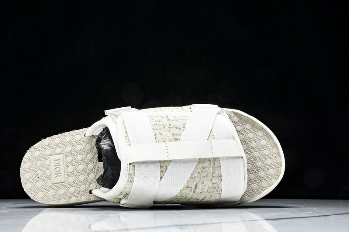 D10r slides ds-062