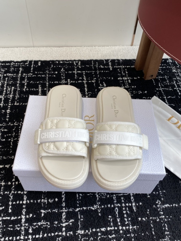 D10r slides ds-089