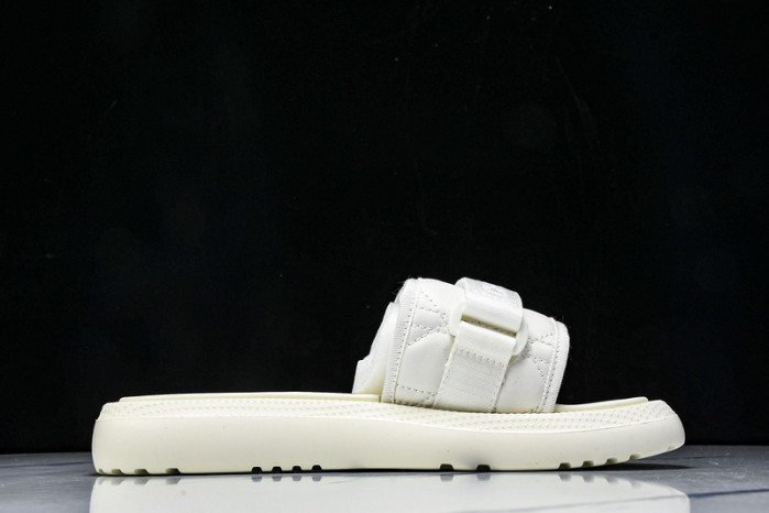 D10r slides ds-079