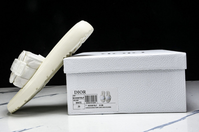 D10r slides ds-079