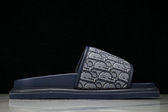 D10r SLIDES DS-091