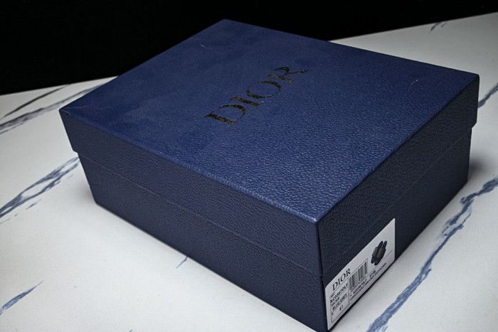 D10r SLIDES DS-091