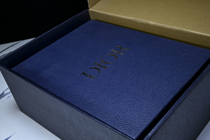 D10r SLIDES DS-091