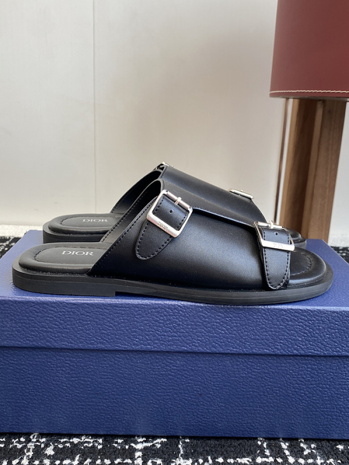 D10r slides ds-075