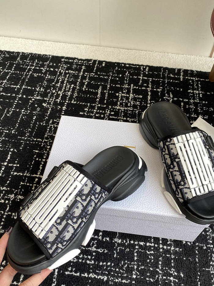 D10r slides ds-070