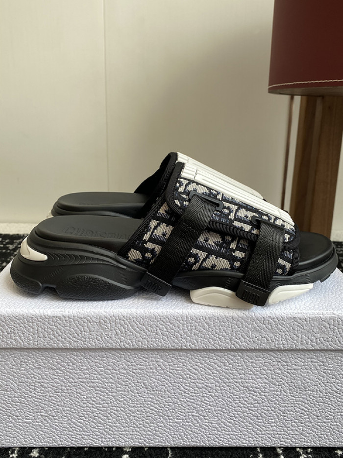 D10r slides ds-070