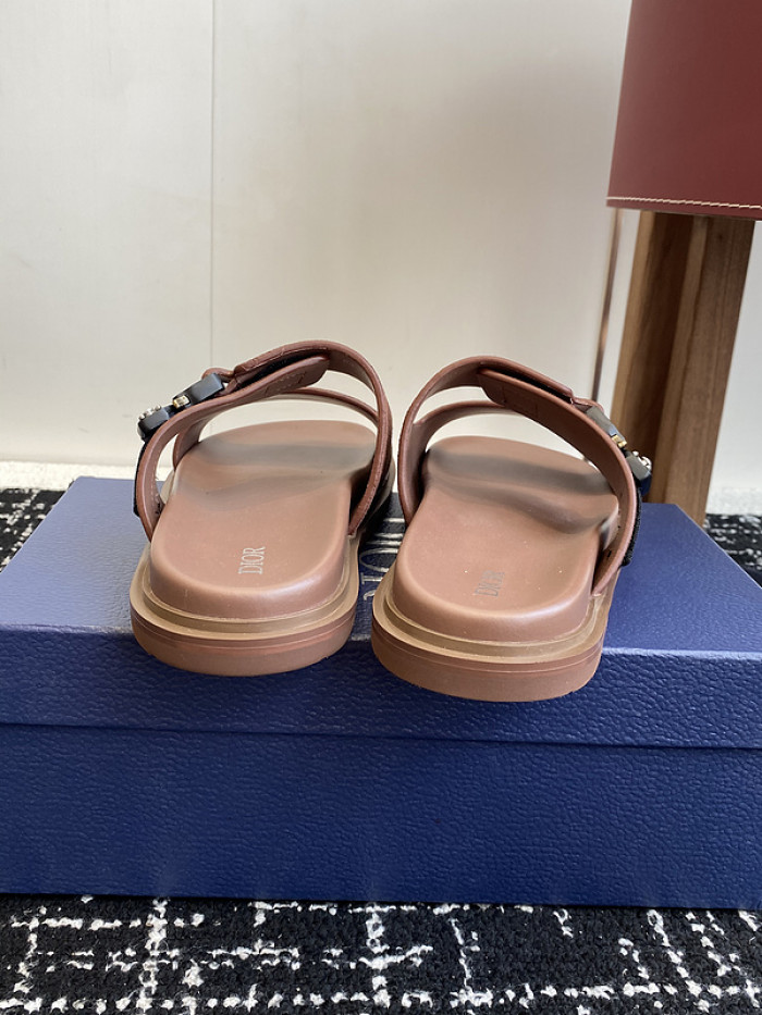 D10r slides ds-074