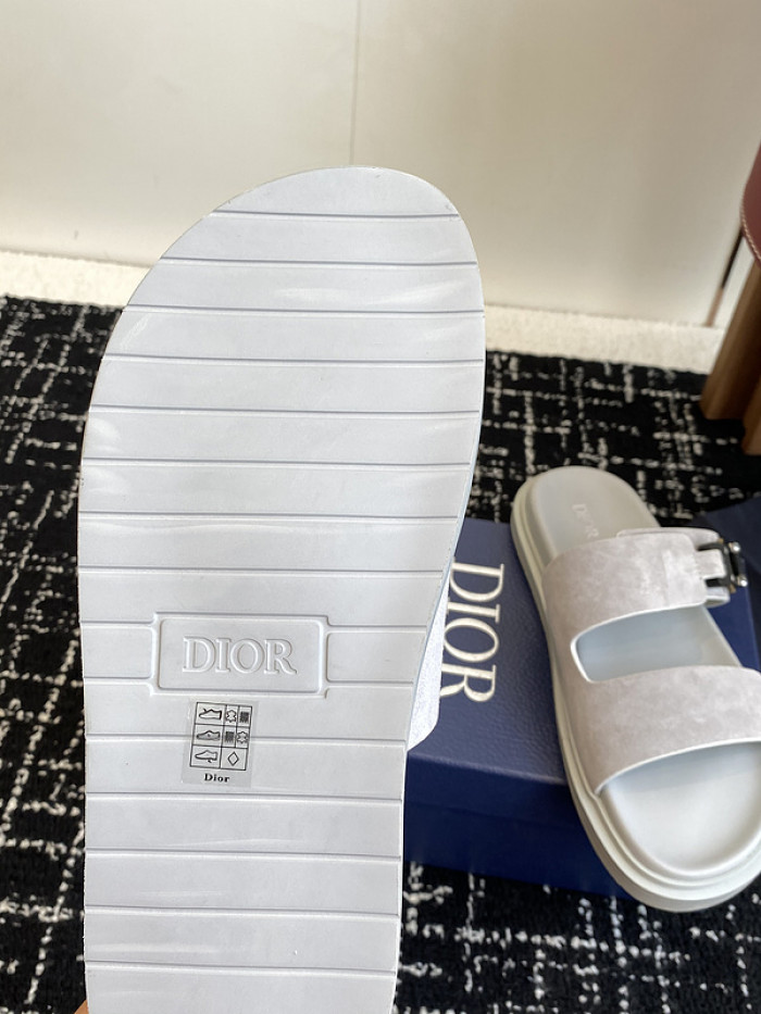 D10r slides ds-073