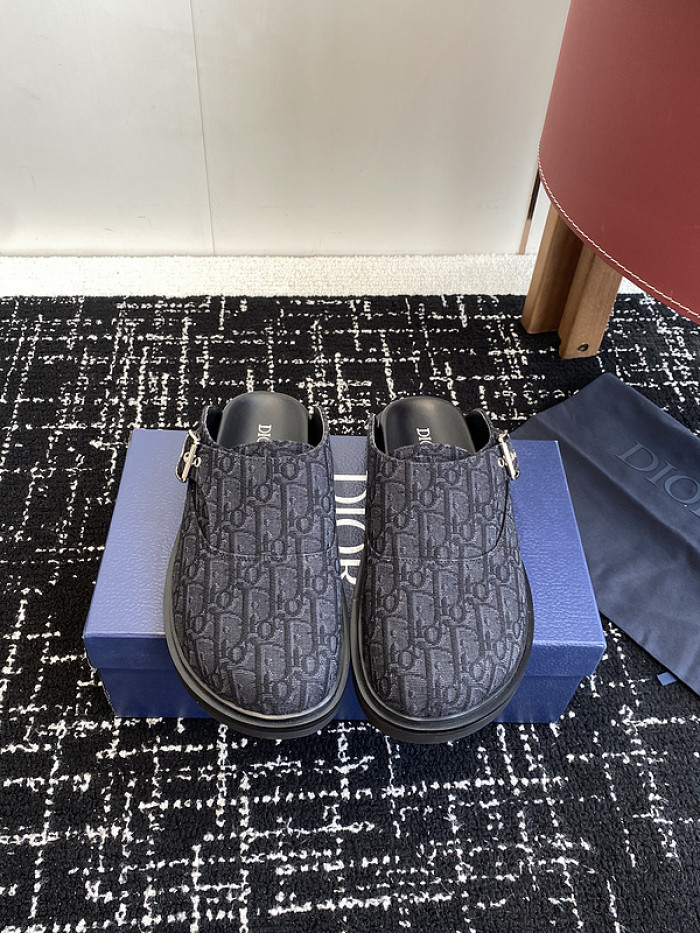 D10r slides ds-078