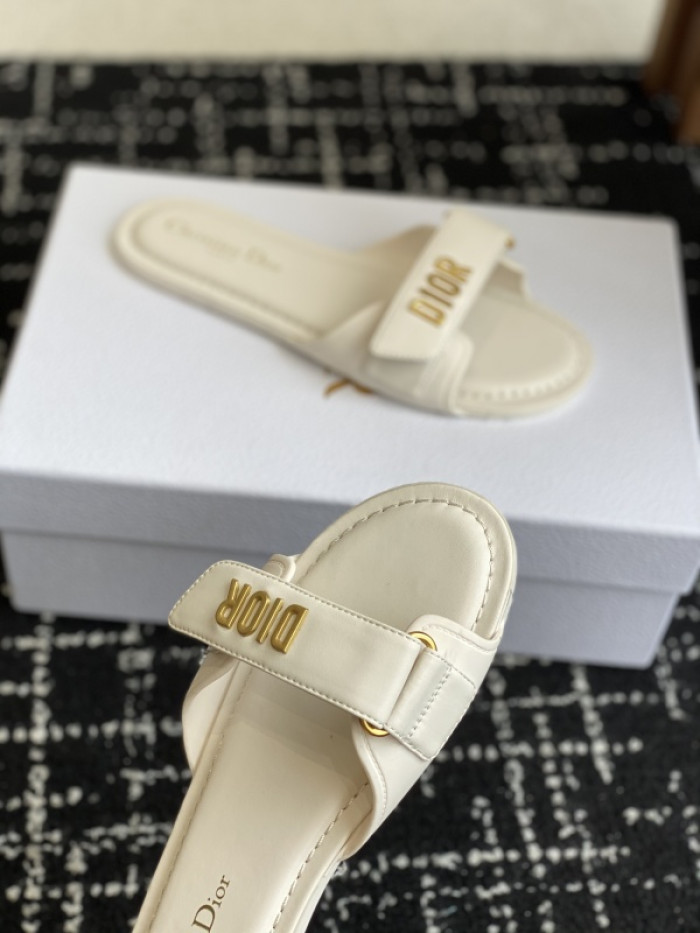 D10r slides ds-083