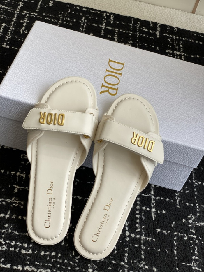D10r slides ds-083