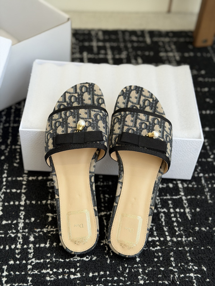 D10r SLIDES DS-0143