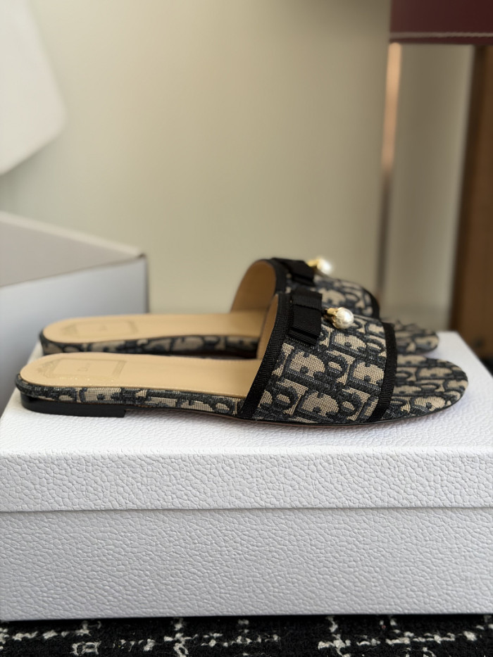 D10r SLIDES DS-0143
