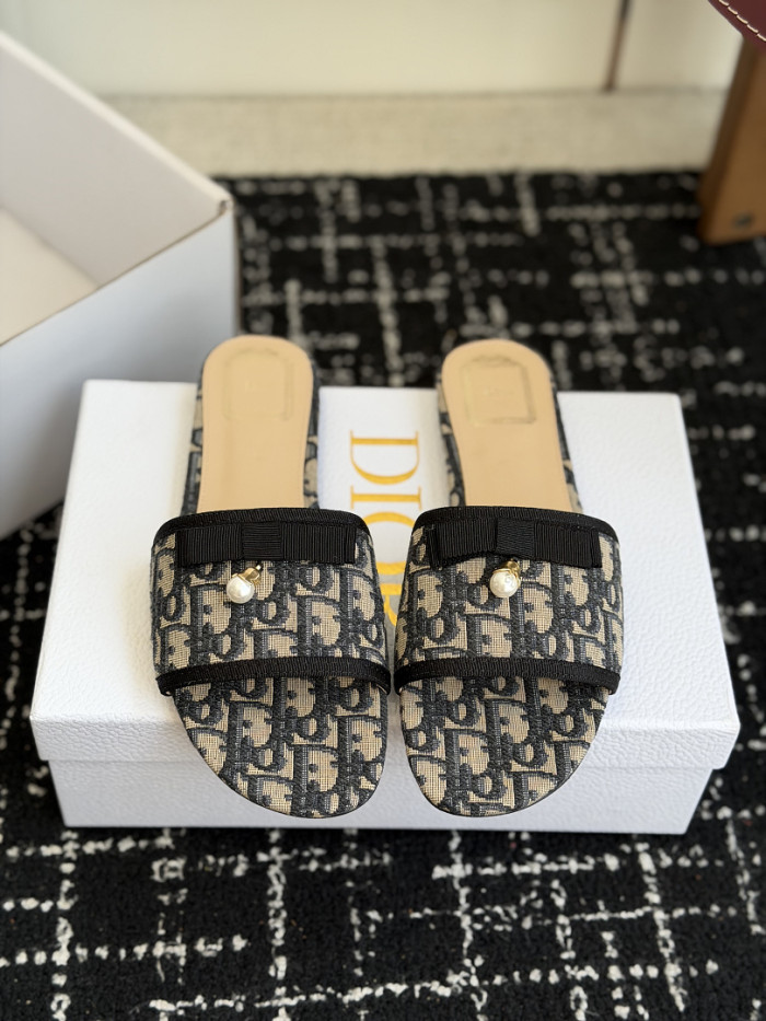 D10r SLIDES DS-0143