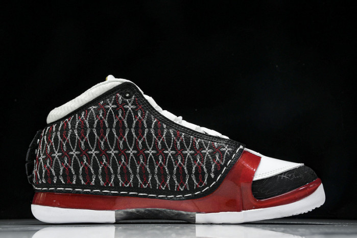 Titan x Air Jordan 23 318376-061