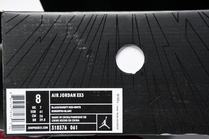 Titan x Air Jordan 23 318376-061