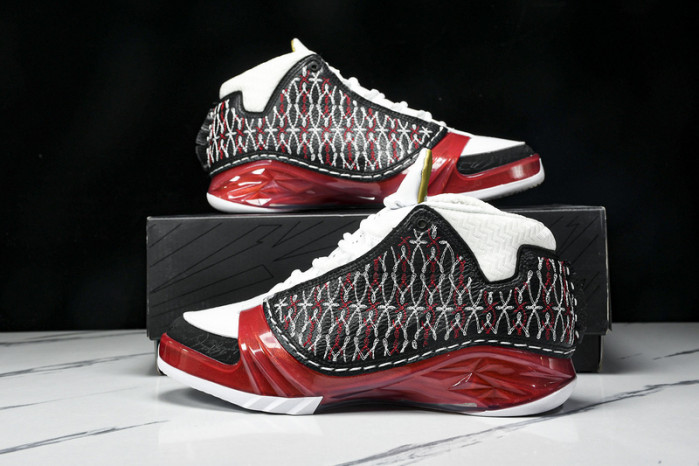 Titan x Air Jordan 23 318376-061