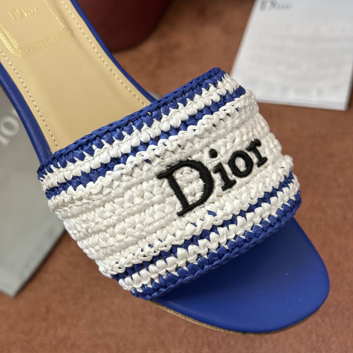 D10r SLIDES DS-0131