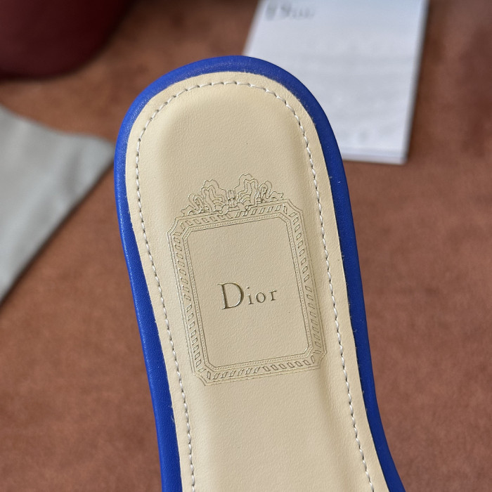 D10r SLIDES DS-0131