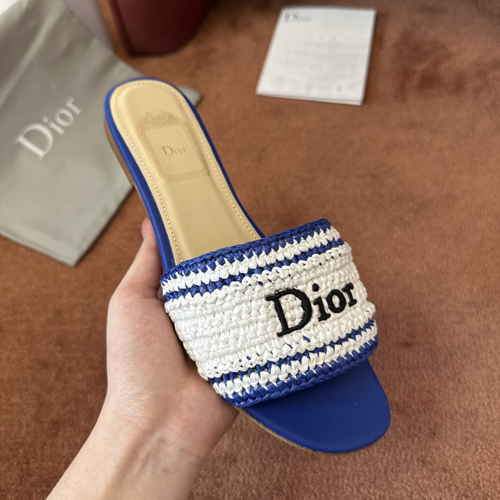 D10r SLIDES DS-0131