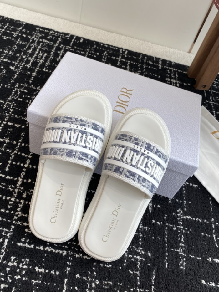 D10r slides ds-085