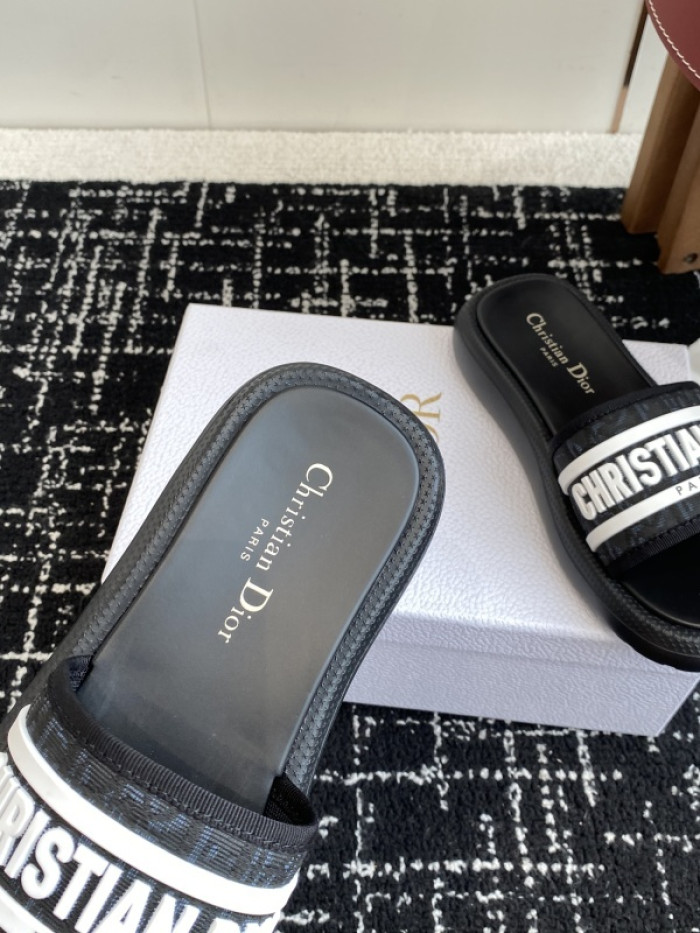 D10r slides ds-086