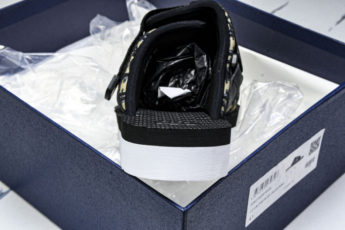 D10r slides ds-063